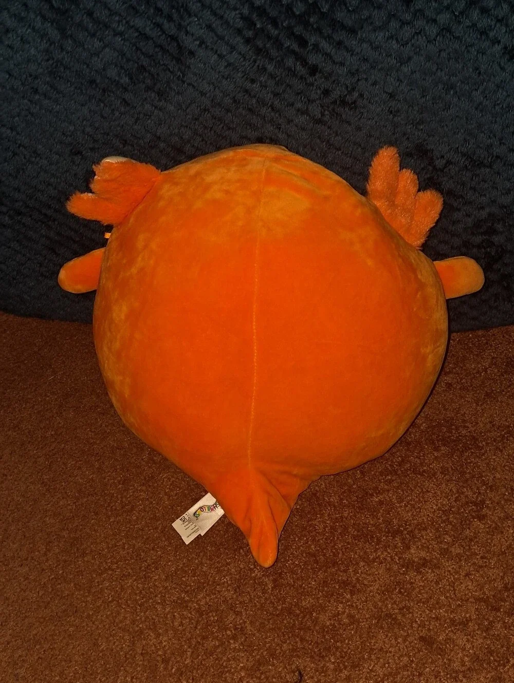 Nico the Axolotl from the Squishmallows